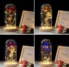 Load image into Gallery viewer, Beauty & the Beast Rose-Party & Holiday-Homeoption Store