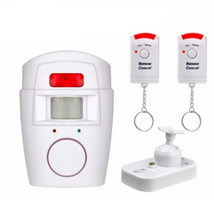 Anti-theft Motion Detector-Security-Homeoption Store