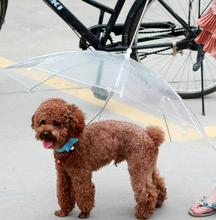Load image into Gallery viewer, Premium Dog Umbrella-Home &amp; Personal-Homeoption Store