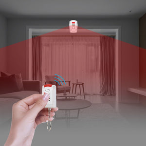 Anti-theft Motion Detector-Security-Homeoption Store