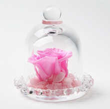 Load image into Gallery viewer, Rose under dome Decor-Home-Homeoption Store