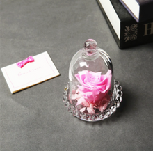 Load image into Gallery viewer, Rose under dome Decor-Home-Homeoption Store