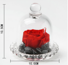 Load image into Gallery viewer, Rose under dome Decor-Home-Homeoption Store