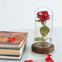 Load image into Gallery viewer, Rose In Flask Beauty And The Beast Gold-plated Red Rose With LED Light In Glass Dome For Wedding Party Mother's Day Gift-Homeoption Store