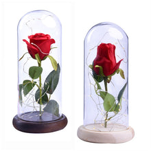 Load image into Gallery viewer, Rose In Flask Beauty And The Beast Gold-plated Red Rose With LED Light In Glass Dome For Wedding Party Mother's Day Gift-Homeoption Store
