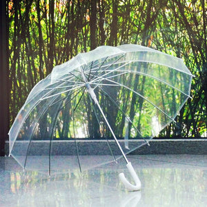 Semi-Automatic Transparent Umbrellas For Protect Against Wind And Rain Long-Handle Umbrella Clear Field Of Vision-Homeoption Store