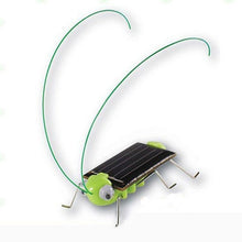 Load image into Gallery viewer, New 1 PCS Children Baby Solar Power Energy Insect Grasshopper Cricket Kids Toy Gift Solar Novelty Funny Toys-Homeoption Store