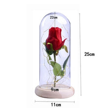 Load image into Gallery viewer, Rose In Flask Beauty And The Beast Gold-plated Red Rose With LED Light In Glass Dome For Wedding Party Mother's Day Gift-Homeoption Store