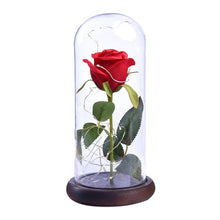 Load image into Gallery viewer, Rose In Flask Beauty And The Beast Gold-plated Red Rose With LED Light In Glass Dome For Wedding Party Mother's Day Gift-Homeoption Store