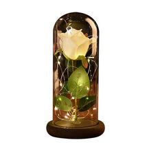 Load image into Gallery viewer, Rose In Flask Beauty And The Beast Gold-plated Red Rose With LED Light In Glass Dome For Wedding Party Mother's Day Gift-Homeoption Store
