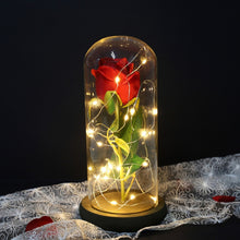 Load image into Gallery viewer, Rose In Flask Beauty And The Beast Gold-plated Red Rose With LED Light In Glass Dome For Wedding Party Mother's Day Gift-Homeoption Store