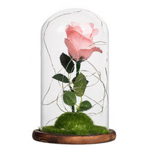 Load image into Gallery viewer, Rose In Flask Beauty And The Beast Gold-plated Red Rose With LED Light In Glass Dome For Wedding Party Mother's Day Gift-Homeoption Store
