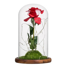 Load image into Gallery viewer, Rose In Flask Beauty And The Beast Gold-plated Red Rose With LED Light In Glass Dome For Wedding Party Mother's Day Gift-Homeoption Store