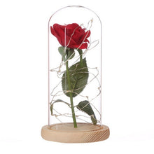 Load image into Gallery viewer, Rose In Flask Beauty And The Beast Gold-plated Red Rose With LED Light In Glass Dome For Wedding Party Mother's Day Gift-Homeoption Store