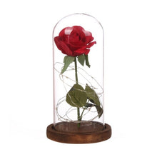 Load image into Gallery viewer, Rose In Flask Beauty And The Beast Gold-plated Red Rose With LED Light In Glass Dome For Wedding Party Mother's Day Gift-Homeoption Store